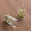 Botanical 7-Piece Glass Jug Set - 1.5 L