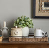 Ela Ceramic Tea Jar - 750 ml