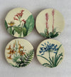 Botanical 4-Piece Coaster Set - 10 cm