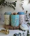 Evle 3-Piece Metal Storage Container Set, 10.5 cm, Botanica erb04u2