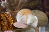Nakheel 18-Pieces Dinner Set - Serves 6