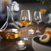 STORSINT IKEA 6-Pieces Glass Set - 49cl