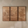 Addax 3-Piece Framed Canvas Wall Art Set - 180x120 cm
